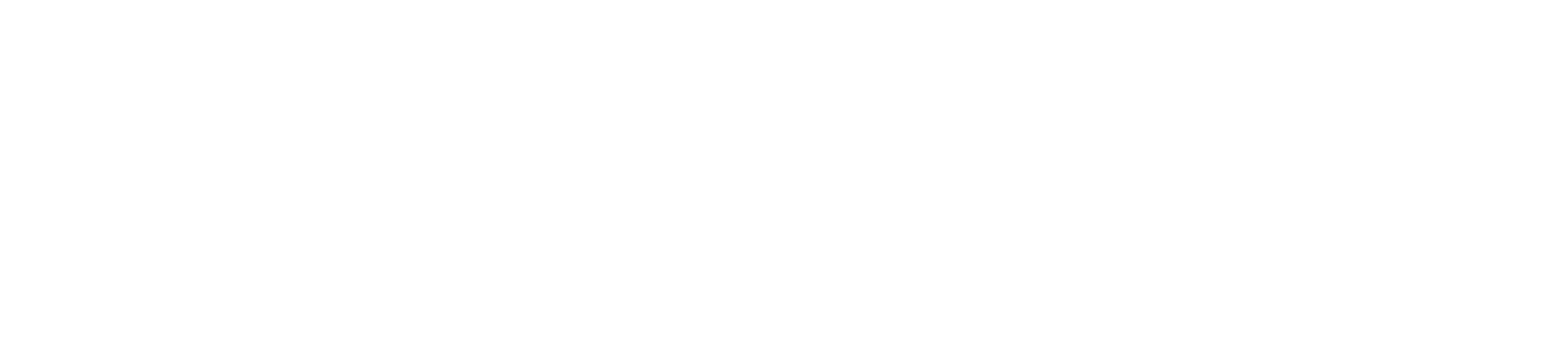 logo-white NeuroNEC